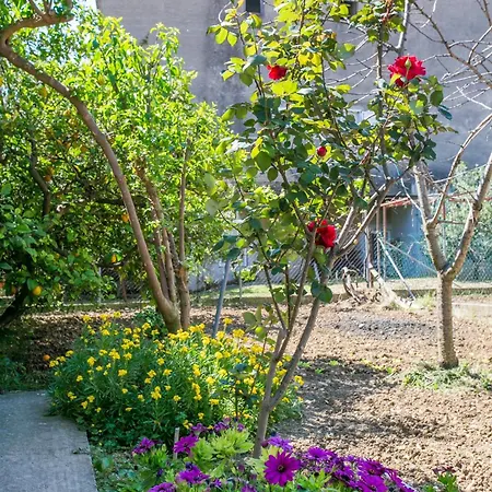 Apartamento With A Parking Space Kastel Luksic, - 22469